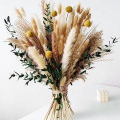 Boho Dried Flowers Bouquet – Olive Green Wall Decor, Ppas Grass Bouquet,