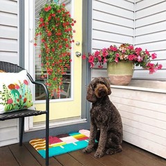 Artificial Hanging Plants Fake Plant Faux Eucalyptus Leaf Greenery Vine JQ