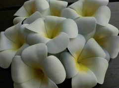 Handmade Araliya flowers wedding wall table flower vase bouquet home decoration