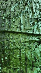 Round Green Leaf Drape Backdrop Enchanted Forest Fairy Wedding Event Deco 10 Ft