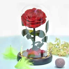 Eternal Rose in Glass Dome – Valentine’s Day Gift