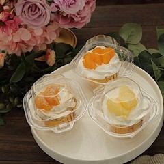 25 Clear Disposable Plastic Cupcake Boxes Dome Lid Party Events Home Decorations