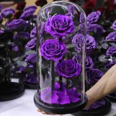 Three Eternal Roses with Glass Dome – Valentine’s Day Gift