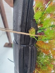 15.5 ft faux flower garland