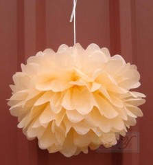 24x Peach paper pom poms white paper lanterns wedding party baby shower decor