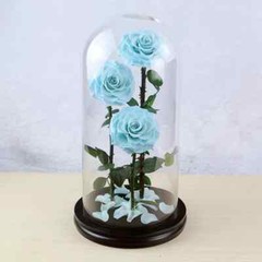Three Eternal Roses with Glass Dome – Valentine’s Day Gift