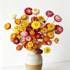 30Pcs Natural Dried Daisy Flowers Stems – Real Natural Dried Flowers