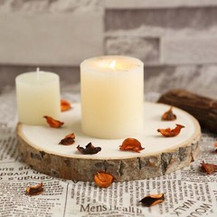 Natural Round Poplar 7-9″ wide Wood Slices Wedding Decorations Centerpieces SALE