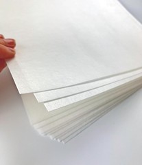 Wafer Paper Flexible Edible Printer Sheets 12 Pack 0.4mm White Letter Size 8….