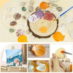 Mixed Sea Shells, 100+ Pcs Beach Seashells Starfish, Various Sizes Ocean Seas…
