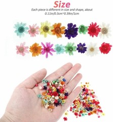 710pcs DIY Dried Flowers Scattered Aromatherapy Candle Epoxy Resin Pendant