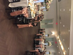 rose gold chair sashes