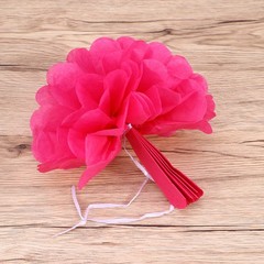 12 PCS Tissue Flowers Decorations Paper Pompoms Balls Floral Decorative