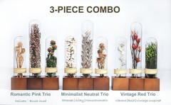 3Pcs Dried Flower Decor,Kni Knas for Shees,Cool Stuff for Bookshelf