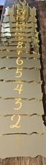 Princess Wedding Birthday Celebration Reception Disney Castle Gold&Silver#1-14
