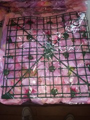 Beautifull Artifical Flower Wall Panels 12 Pieces 12x12in