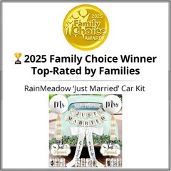 Weather-Resistant 33 Pc Just Married Car Decoration Set for Stylish Weddings