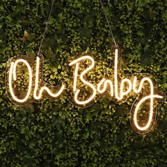 26 in Warm White Oh Baby Neon Sign LED Wall DECORATIVE LIGHTS Party Decorations