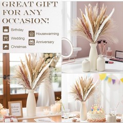 Ceric Vase Set of 6 with 100 Pcs Dried Ppas Grass Flowers,