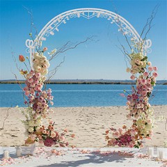 XL Large Rust-proof Wedding Arch Garden Arbor Trellis Archway Curved Vine Flower