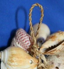 Seashell Wedding Tabletop Centerpiece Cluster of Natural Whole Seashells, G-04