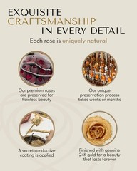 Forever Rose Hand-Dipped in 24K Gold, Diamond-Inspired April Birthstone with …