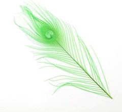 10-12Inch Dyeing Peacock Feathers Bleached Plume Wedding Table Centerpiece Pack