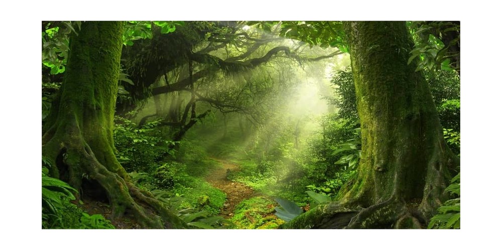 Yeele 20x10ft Enchanted Jungle Forest Backdrop Mossy Trees Sun Rays Pathway F…