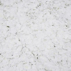 20Pcs Flower Panel White Artificial Flower Wall Panel Flower Backdrop Wall Decor