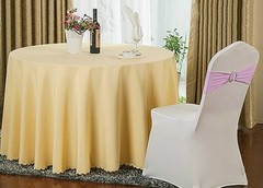 DH Wedding Banquet Party Chair Sash Bands & Buckle Slider in Colors 10PCS
