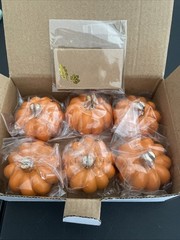 Kate Aspen Fall Decor Mini Orange Pumpkin Place Card Holder (Set of 6), New