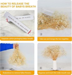 4000+ Dried Babys Breath Flowers Bulk – 17.2″ Ivory White Dried Flowers