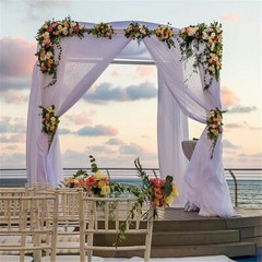Adjustable Giant Double Drape Pipe Wedding Arch Backdrop Stand Iron Frame Booth