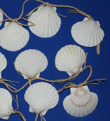 Large Seashell Christmas Tree Garland, White Irish Cups Raffia – 68″+ G-25