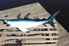 Ocean Theme Wedding Tiki Bar Decor,28″ MONSTER Shark Wall Hanging, 3-D,