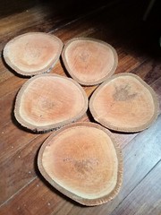 21cm natural tree trunk wood slice craft wedding table centre piece decoration 