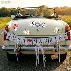 , Just Married Car Magnets – Pack of 15 | Just Married Banner for Multi Color