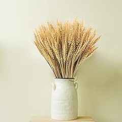 17.7 inches Dried Wheat Stalks, 100 Stems Dried Flowers Natural Wheat