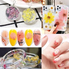 170Pcs+ Real Dried Pred Flowers Leaves Petals for Crafts-Beautiful