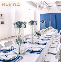NUPTIO Flower Ball Centerpieces for Tables: Dusty Blue & White Artificial…