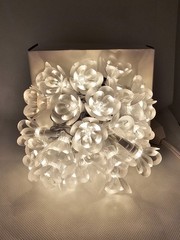 Lightscapes Of Bridal Elegance Set Of 35 Clear Flower Decorative Lights