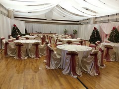 120″ x 108″ 9ft CHIFFON VOILE SHEER DRAPE PANEL BACKDROP WHITE CURTAIN WEDDING