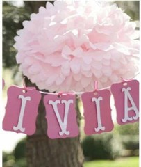 Set of 23 Tissue Pom Poms Flower Paper Party Decoration Ball Pink, White, Yellow