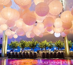10x 12″ Paper Chinese Lantern + 10 white LED Light Wedding Party Decor Supplies