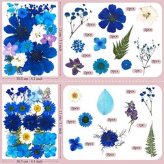 95 Pcs Blue Pred Dried Flowers for Resin, Real Natural Bulk Dry