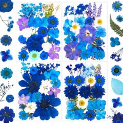 95 Pcs Blue Pred Dried Flowers for Resin, Real Natural Bulk Dry