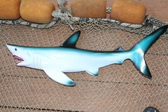 Ocean Theme Wedding Tiki Bar Decor,28″ MONSTER Shark Wall Hanging, 3-D,