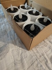 Heart Shaped Solar Lights 6 count