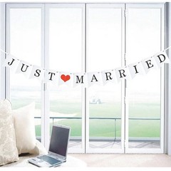 JUST Married Wedding Banner Set, Decorations for Reception, Red