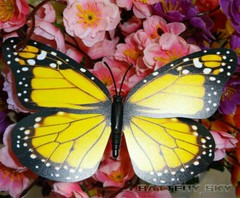 3D Colorful Artificial Butterflies Dummy Craft Wedding Party Floral Decor Gift